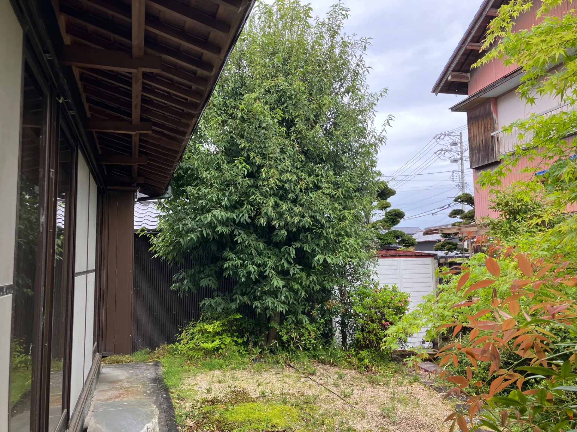 伐採のお仕事